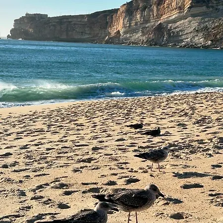 Apartman Sol Nazaré