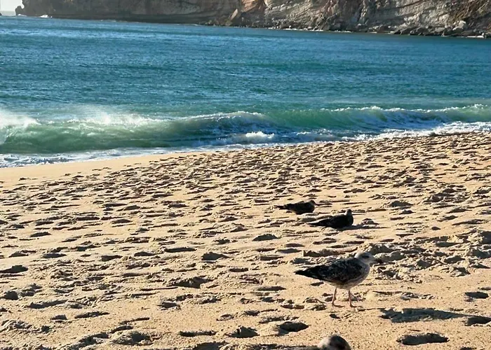 Lägenhet Sol Nazaré